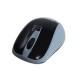 Mouse Anitech W214-GY