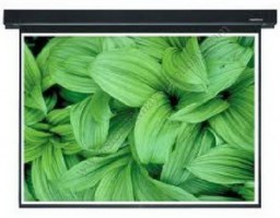 Màn Chiếu Điện Apollo 120"
