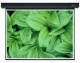 Màn Chiếu Điện Apollo 120"