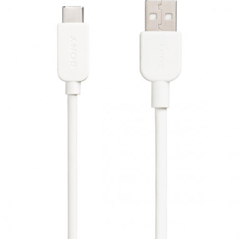 Cable Sony CP-AC100