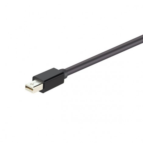 Cable Mini DisplayPort sang DVI Y 6326BK