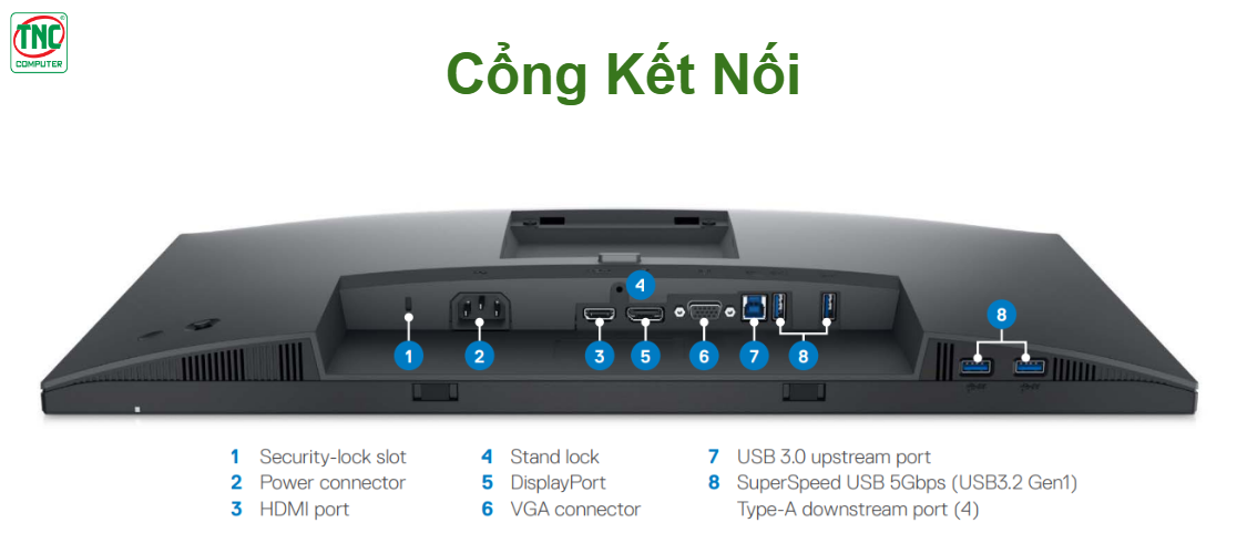 Các cổng kết nối tính hiệu và điện của màn hình Dell P2422H