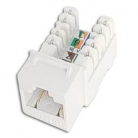 Đầu mạng âm tường DINTEK Module Jack Cat.5e dạng ...