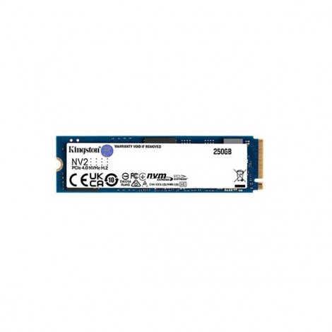 Ổ cứng gắn trong SSD Kingston NV2 250GB PCIe Gen4x4 NVMe M.2 (SNV2S/250G)
