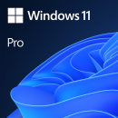 Phần mềm Microsoft Win Pro 11 64Bit Eng ...