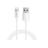 product-tab-1