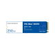  Ổ cứng SSD 250GB Western Digital SN570 WDS250G3B0C