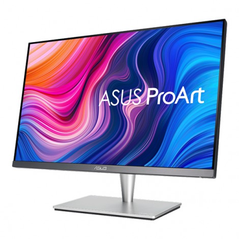 Màn hình LCD ASUS PA24AC