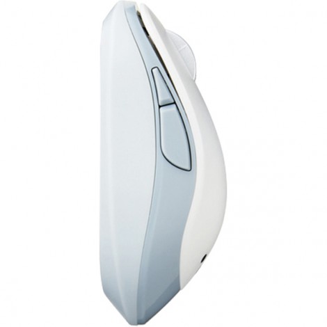 Mouse Wireless ELECOM M-DY13DBWH