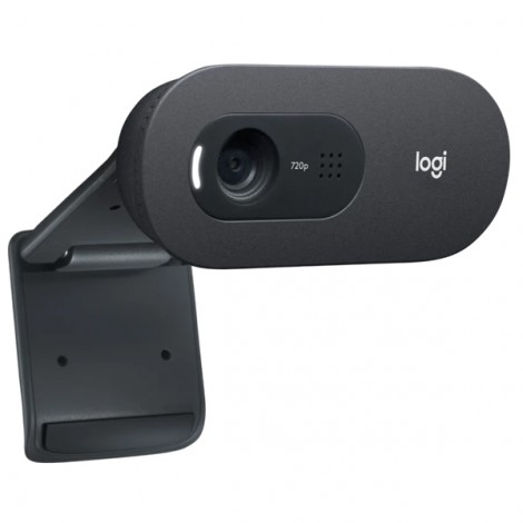 Webcam Logitech C505E