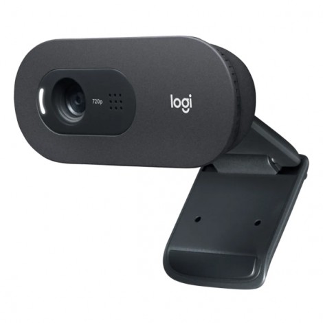 Webcam Logitech C505E