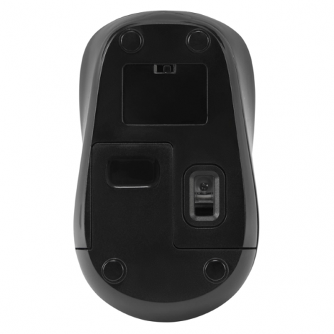 Mouse Targus AMW620AP