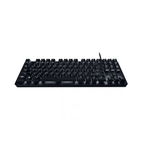 Bàn phím Razer BlackWidow Lite-Silent Mechanical-US Layout-Orange Switch (RZ03-02640100-R3M1)