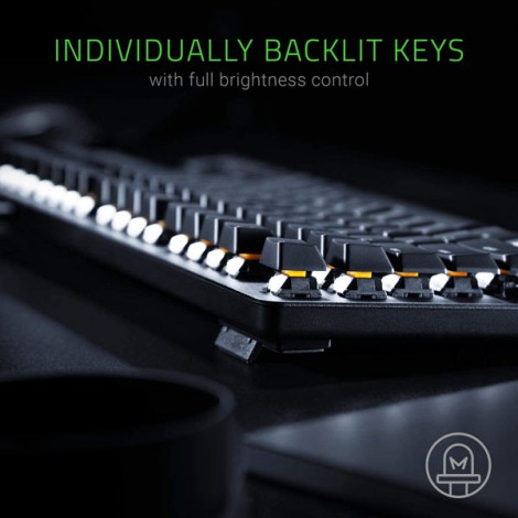 Bàn phím Razer BlackWidow Lite–Silent Mechanical-US Layout-Orange Switch_RZ03-02640100-R3M1