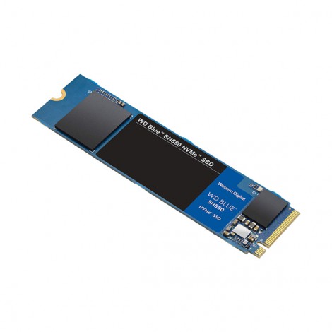 Ổ cứng SSD 1TB Western Digital SN550 WDS100T2B0C M2-2280 (Blue)