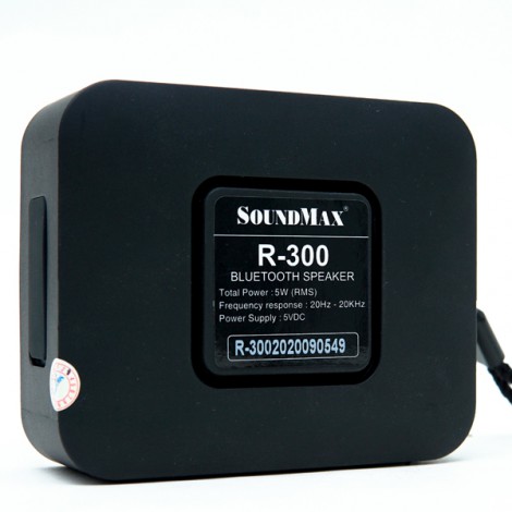 Loa SoundMax R-300