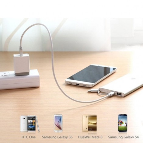 Cable sạc đa năng 2 in 1 USB Type-C / Micro USB Ugreen 20873 dài 1,5M 