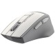 Mouse A4 Tech FG30S (Silent mouse)