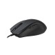 Mouse Rapoo N300