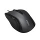 Mouse Rapoo N300