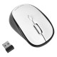 Mouse Targus AMW620AP