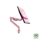 Giá treo màn hình 17-34 inch AOC AM400P (Pink)