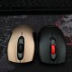 Mouse Newmen F266