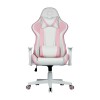 product-tab-1