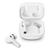 product-tab-1