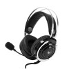 product-tab-1