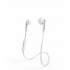 product-tab-1