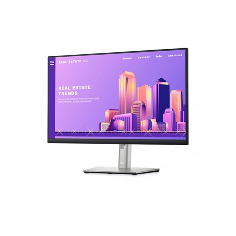 Màn hình LCD DELL P2422H (23.8 inch/ 1920 x 1080/ 250 cd/m2/ 5ms/ 60Hz)