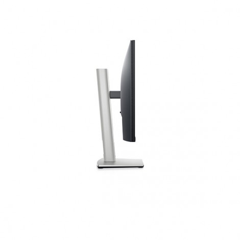 Màn hình LCD DELL P2422H (23.8 inch/ 1920 x 1080/ 250 cd/m2/ 5ms/ 60Hz)