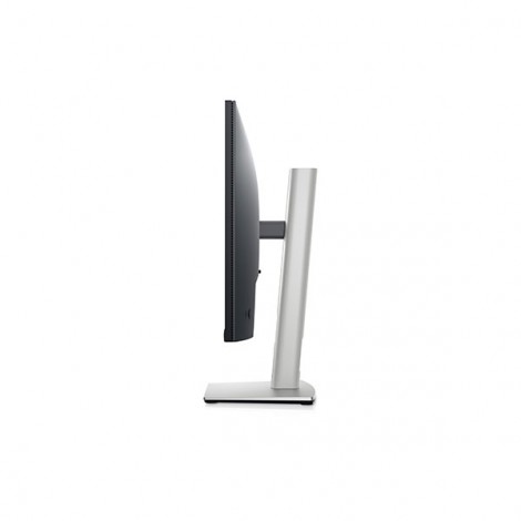 Màn hình LCD DELL P2422H (23.8 inch/ 1920 x 1080/ 250 cd/m2/ 5ms/ 60Hz)