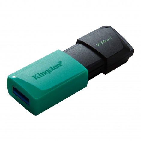 USB 256GB Kingston DTXM
