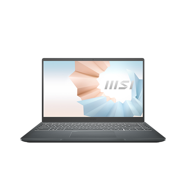 Laptop MSI Modern 14 B5M 204VN (Xám)