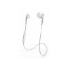 product-tab-1