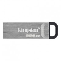 USB 256GB Kingston DTKN