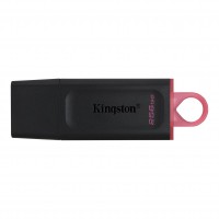 USB 256GB Kingston DTX