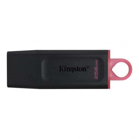 USB 256GB Kingston DTX