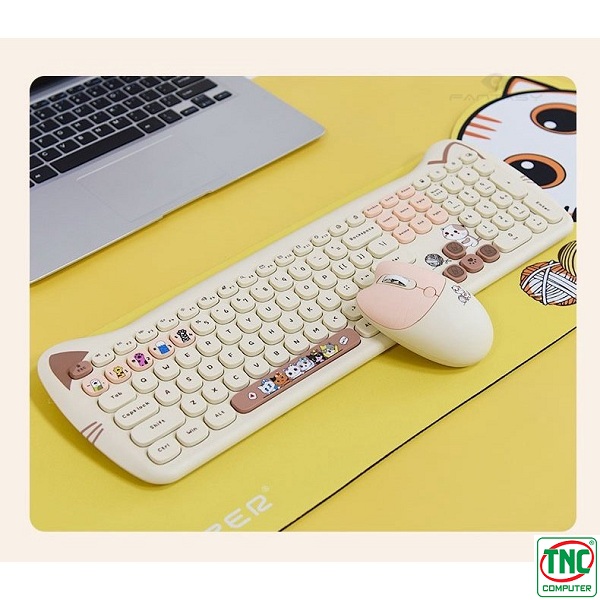 product-tab-3
