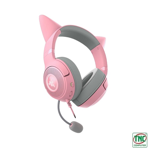 product-tab-4