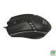 product-tab-2