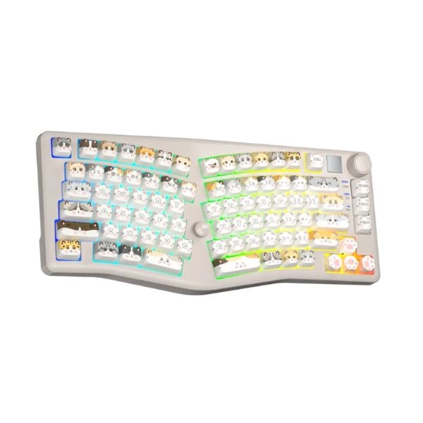 product-tab-2