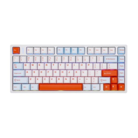Bàn phím cơ Aula M75 Xanh, Trắng, Cam Purple Fire V2 Switch