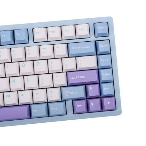 Bàn phím cơ Aula M75 Xanh, Trắng, Tím Purple Fire V2 Switch