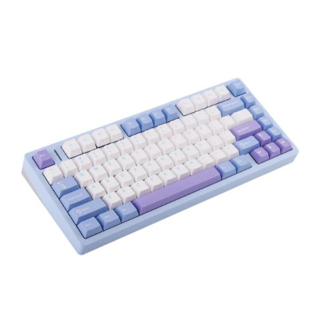 Bàn phím cơ Aula M75 Xanh, Trắng, Tím Purple Fire V2 Switch