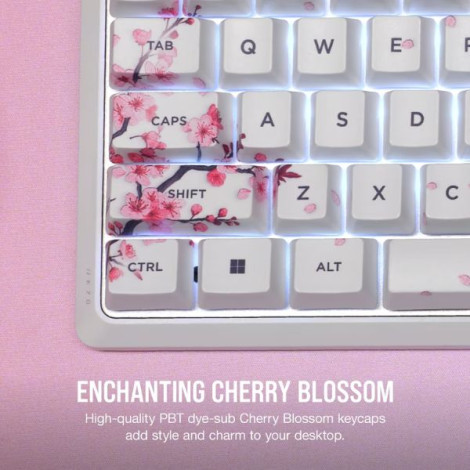 Bàn phím Gaming có dây Corsair K70 Core SE-CSR RED-WHT SE-PLM RGB CH-9109C1E-NA
