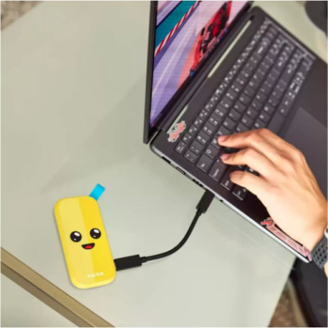 Ổ cứng SSD gắn ngoài Sandisk 1TB SDSSDE30-1T00-G25F