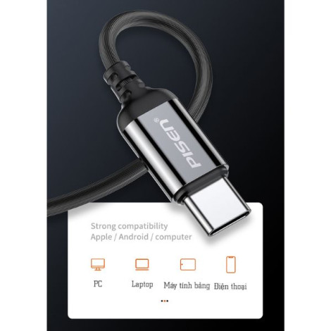 Tai nghe có dây Pisen Metalic Semi-In-Ear Type-C LV-TC02 (Black)